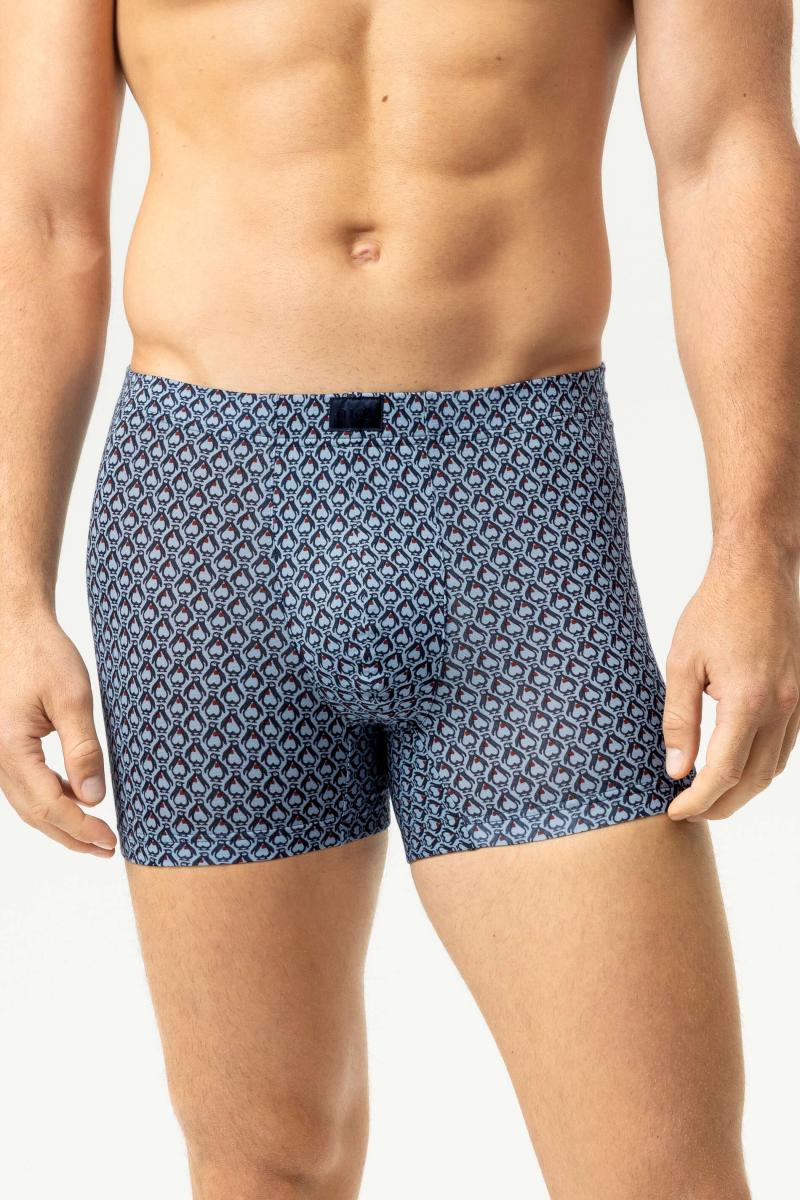 Boxershort Trunk