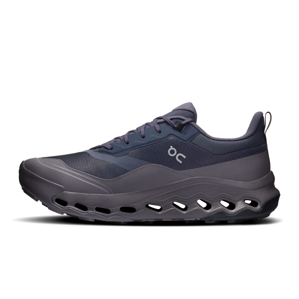 Herren Wanderschuhe Cloudhorizon 2 Waterproof