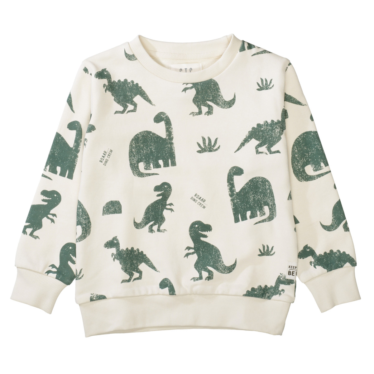 Kinder Sweatshirt  Dinosaurier Print