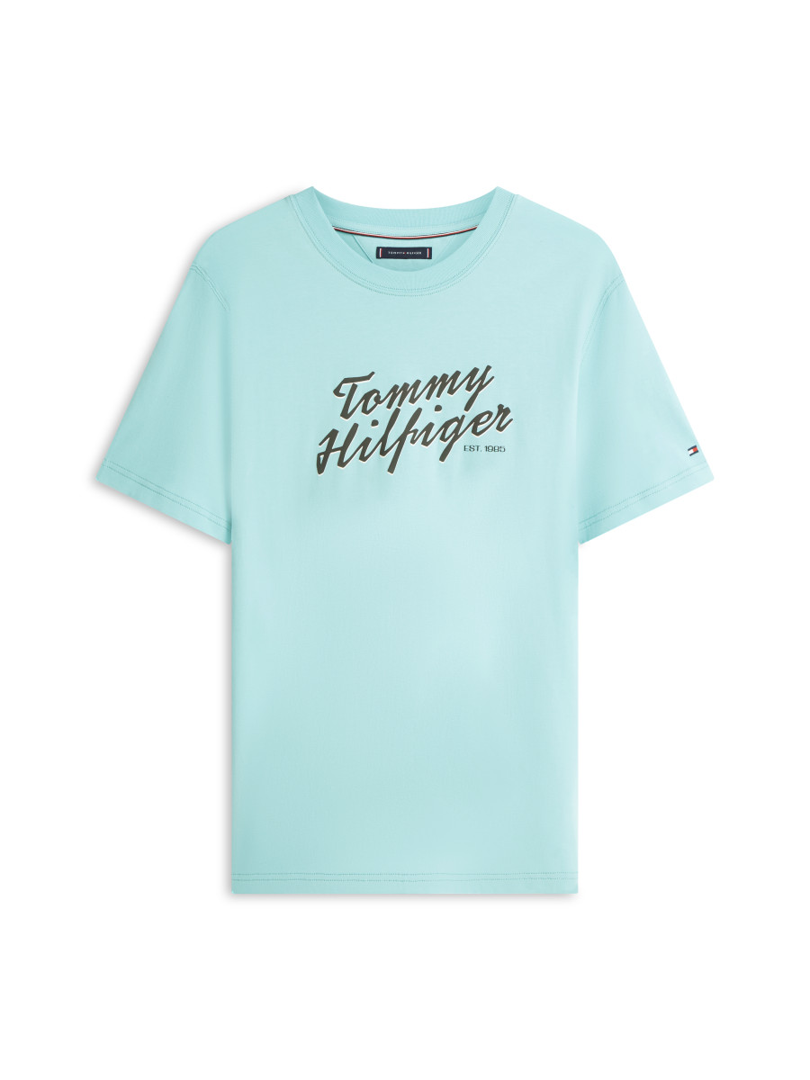 Herren T-Shirt Logo Graphic