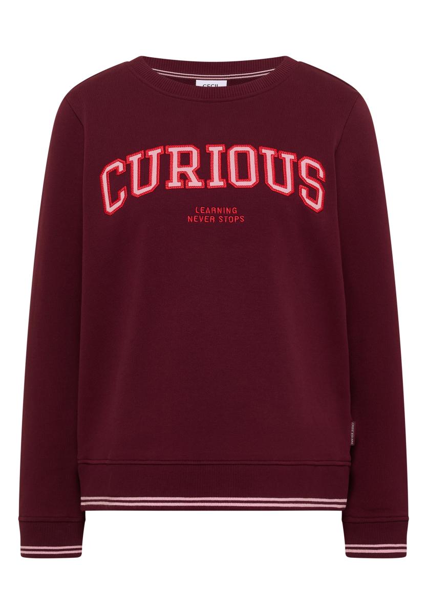 Damen Sweatshirt Mit Rundhals