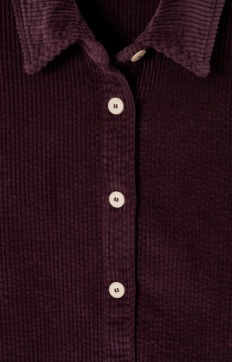 Cord Bluse Padow