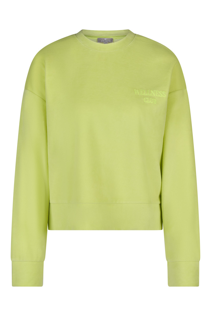 Damen Pullover