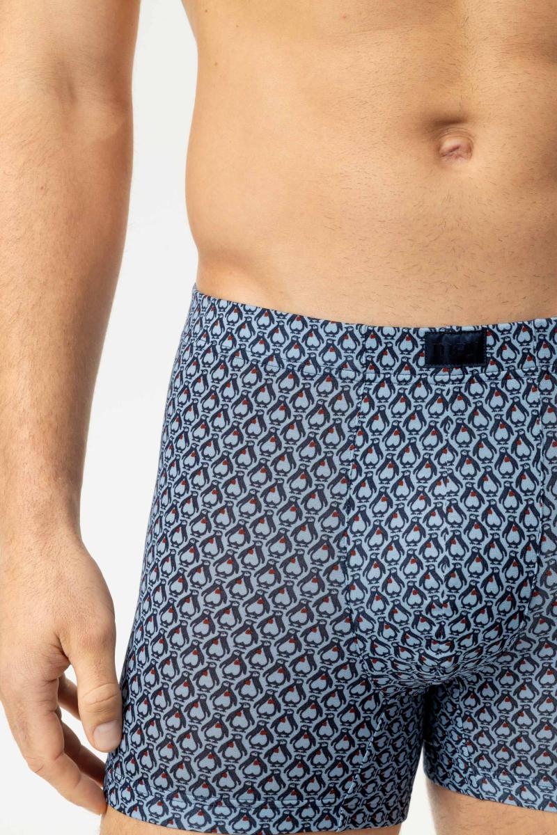 Boxershort Trunk
