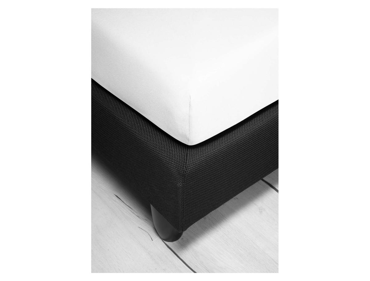 Kuschel-Jersey Spannbettlaken 100x200