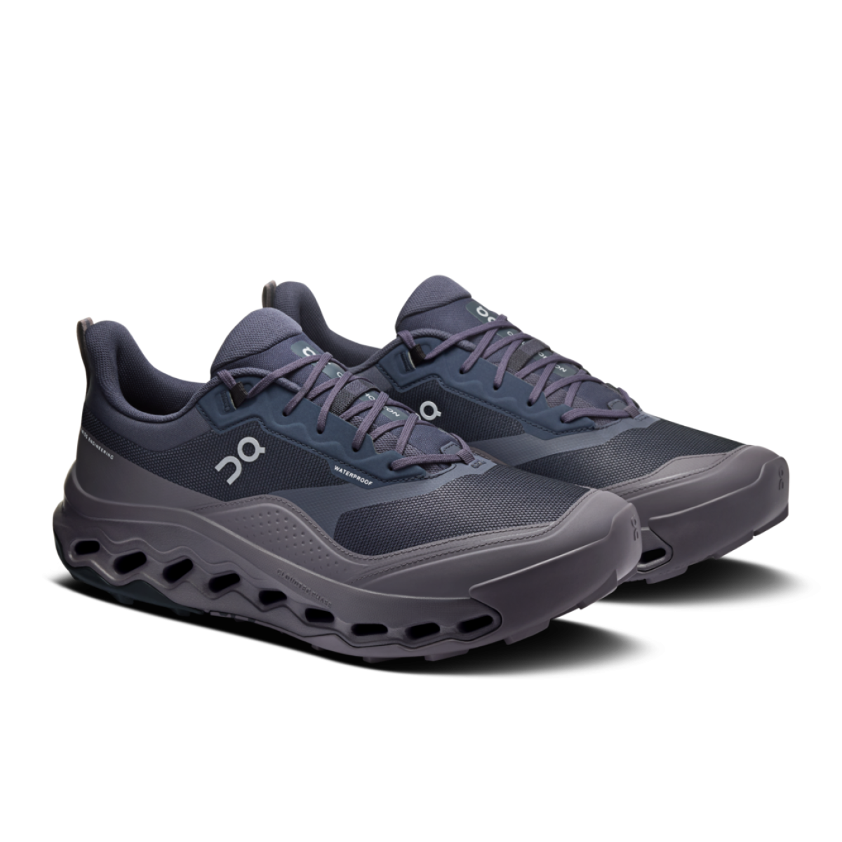Herren Wanderschuhe Cloudhorizon 2 Waterproof
