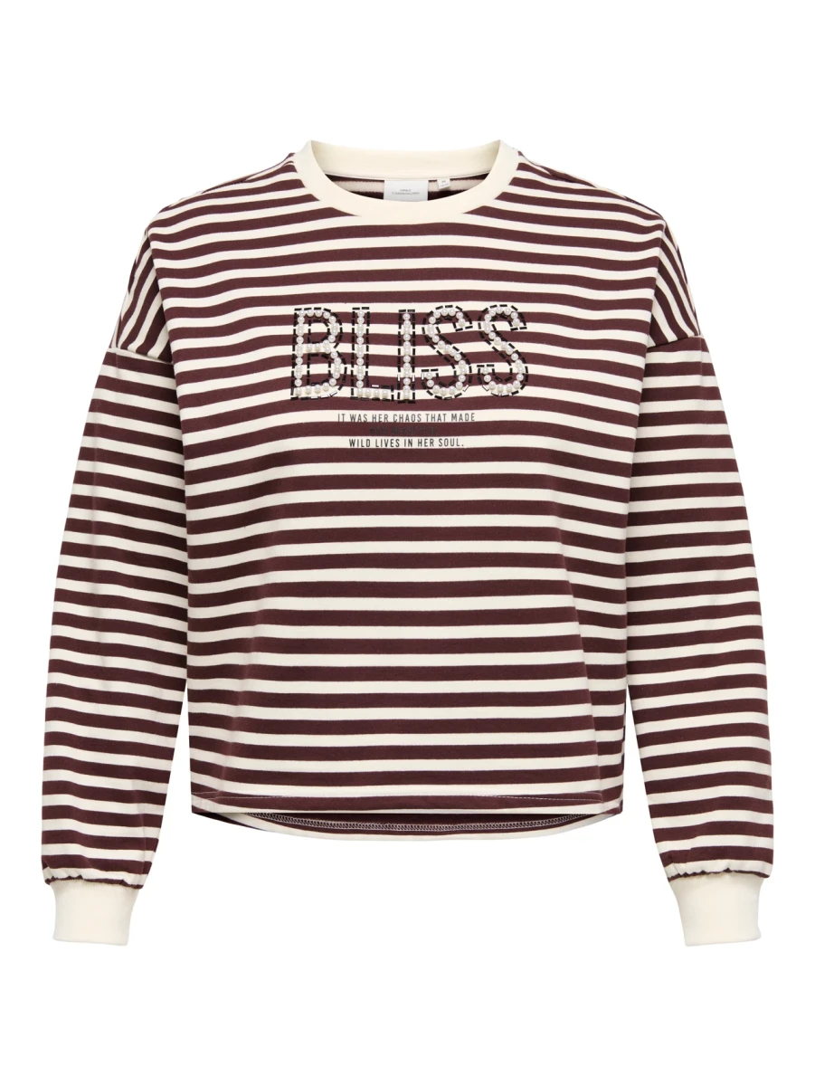 Curvy Sweatshirt CARLIZA