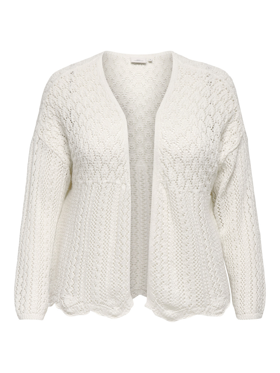 Curvy Cardigan Carnola