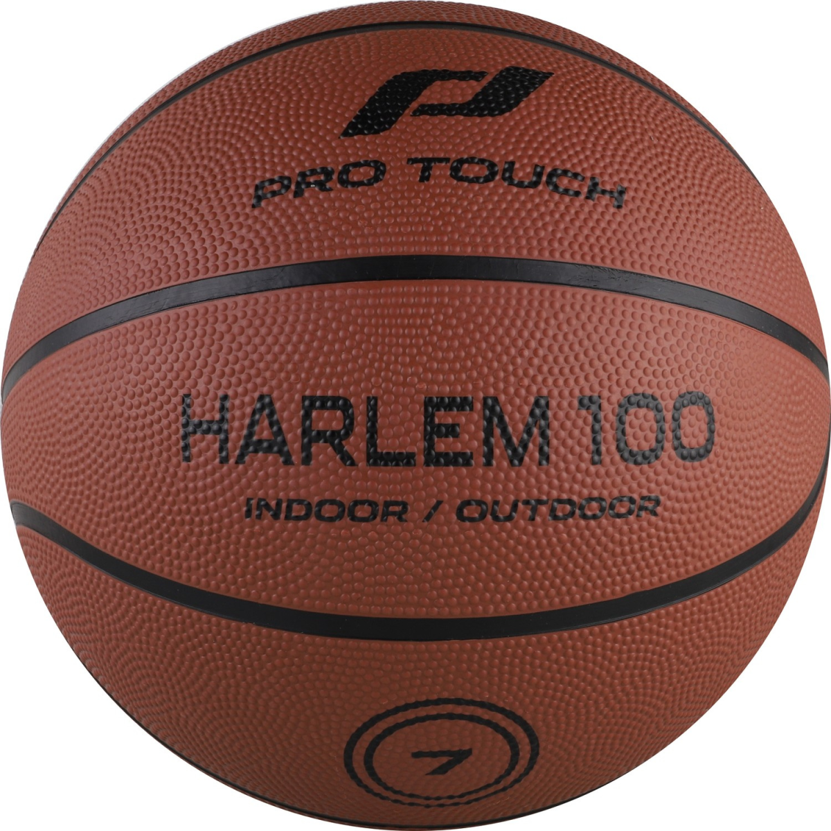 Basketball Harlem 100