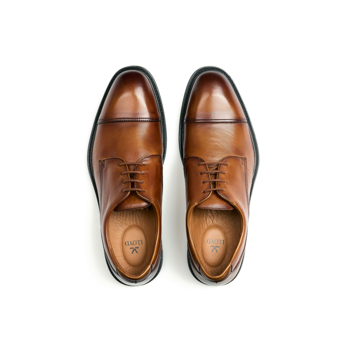 Herren Schnürschuhe X-MOTION 150