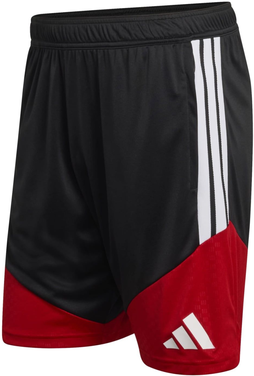 DFB Trainingsshorts Tiro WM 26