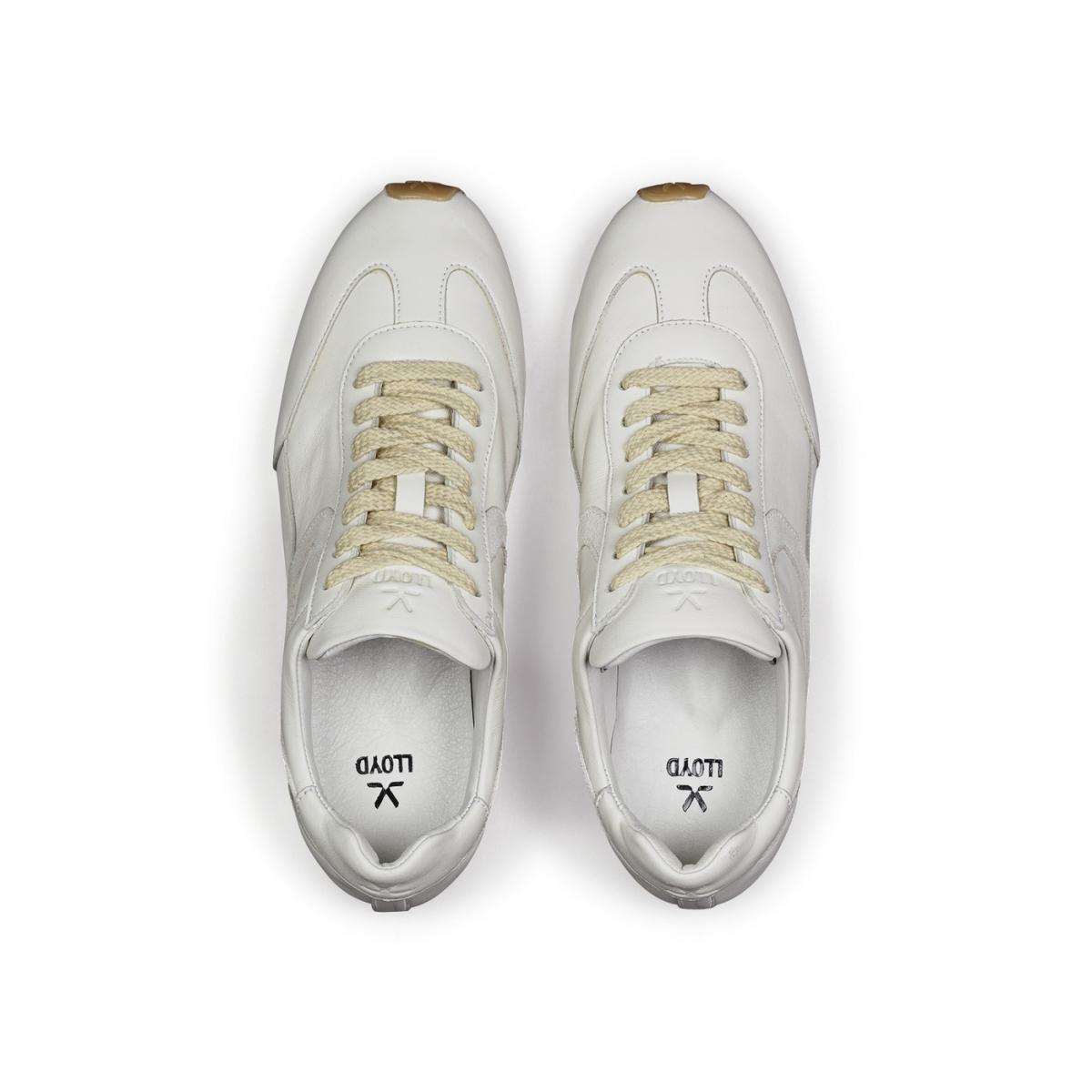 Damen Sneaker Velocity
