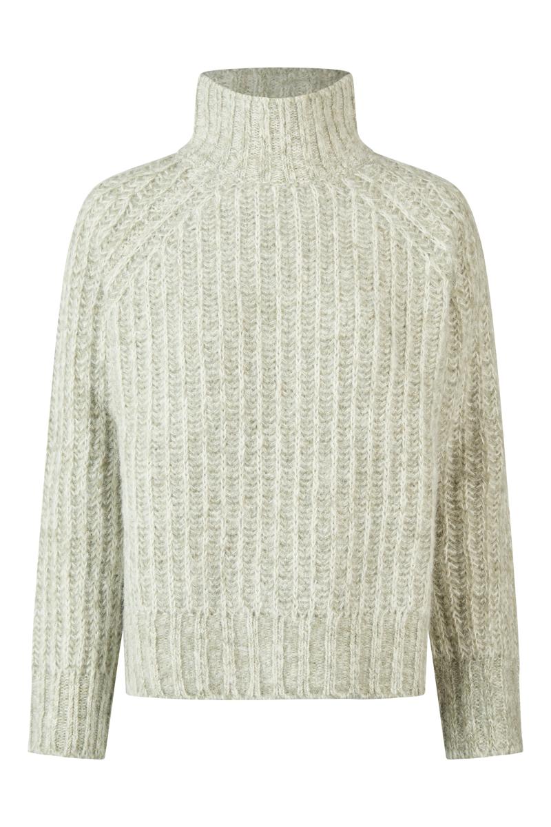 Damen Rollkragenpullover